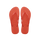 Frevo Red