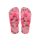 Pink Mango