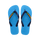 Turquoise/Turquoise