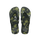 Olive/Green White
