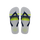 Grey/Navy Blue