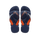 Navy/Navy/White
