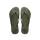 Green Olive