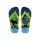 LavenderBlue/LemonGreen