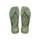 Citronela