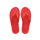 Tropical Coral