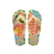 Top Bossa Flip Flops