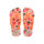 Pink/Confetti