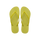 Wild Lime