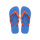 Blue/Orange