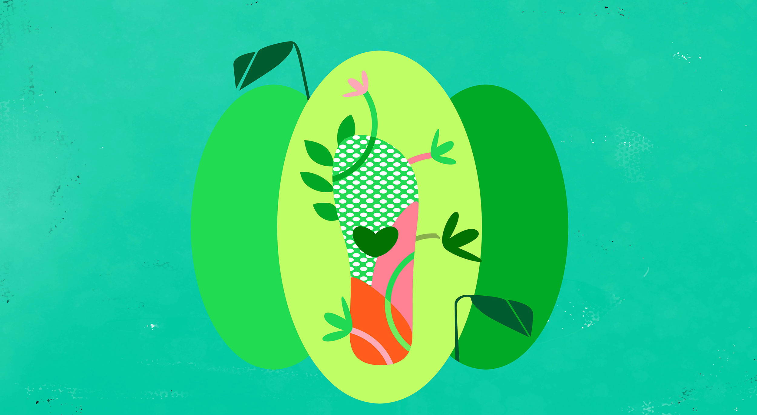 Full banner image