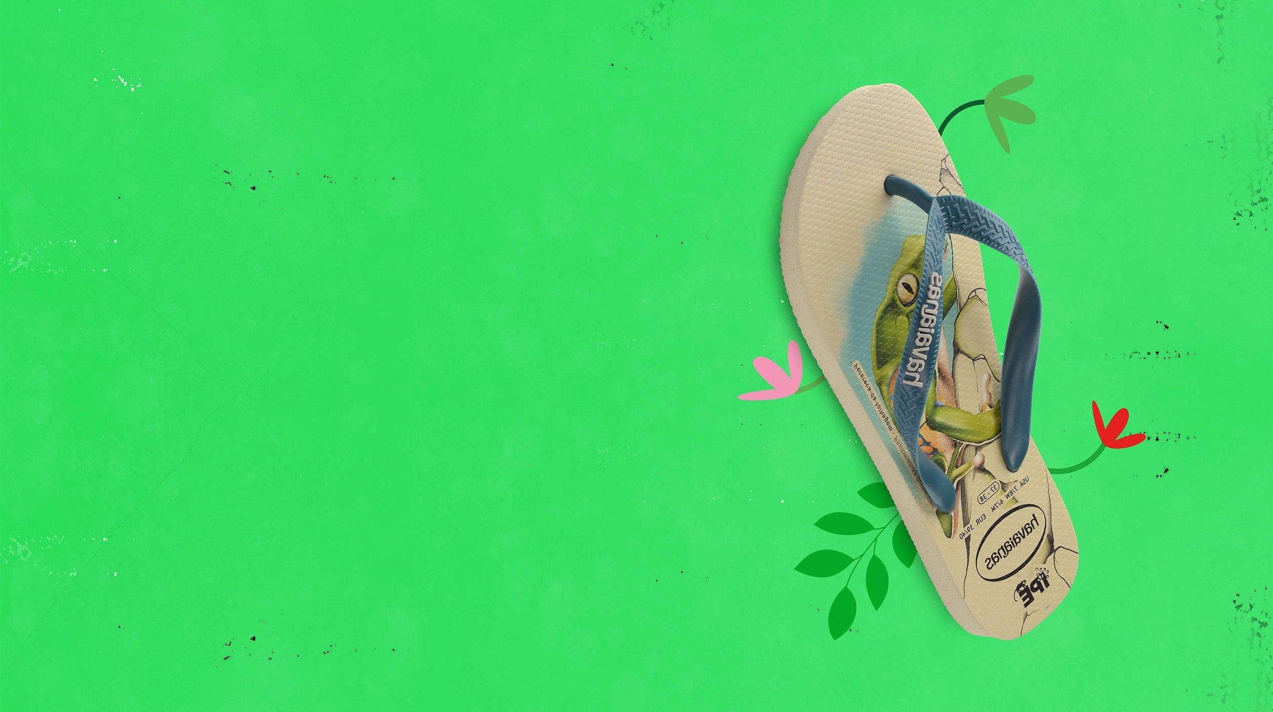 Full banner image