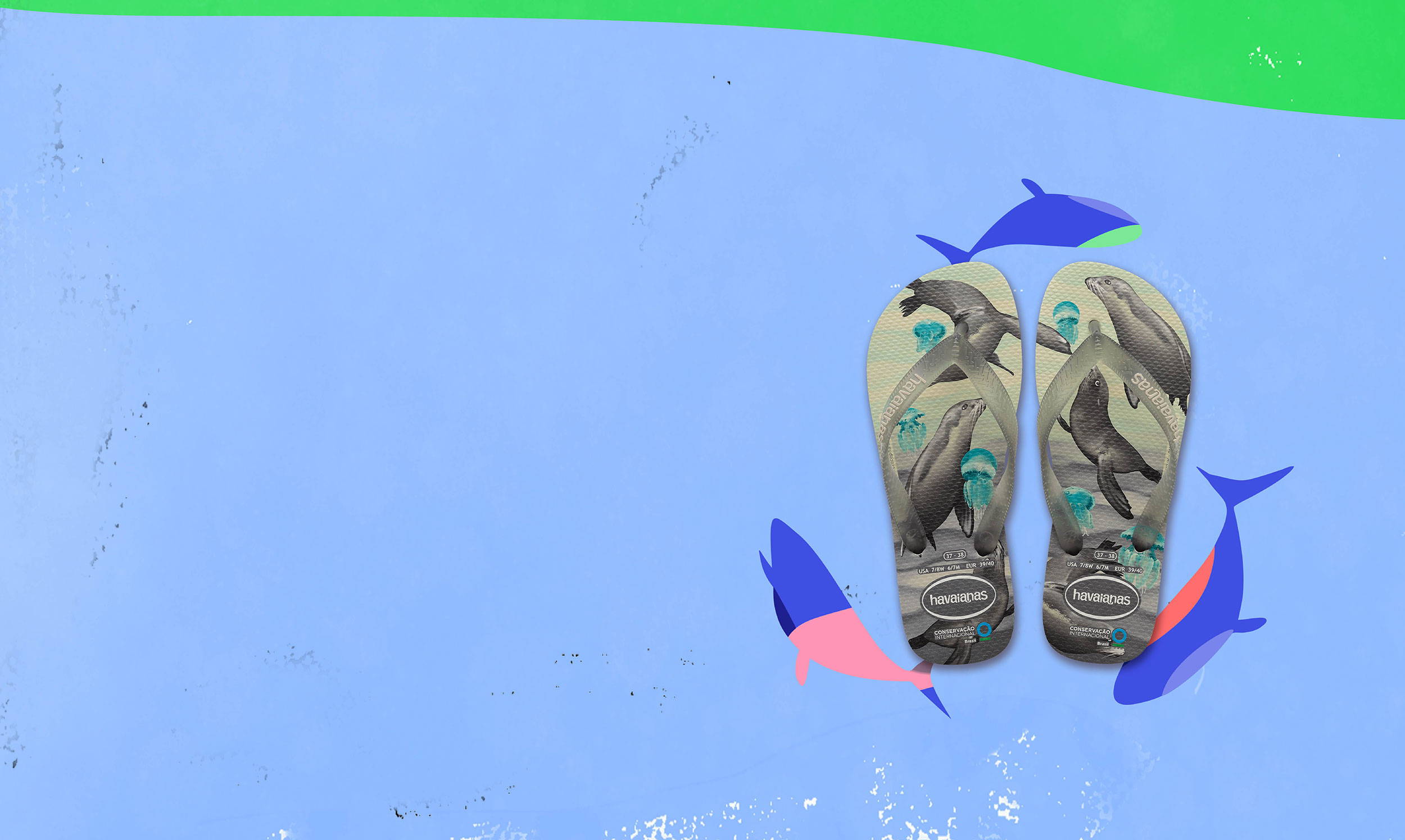 Full banner image