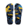 Indigo Blue