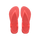 Coral New